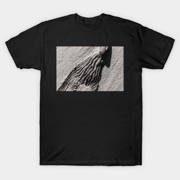 Kelp and Sand T-Shirt by thadz